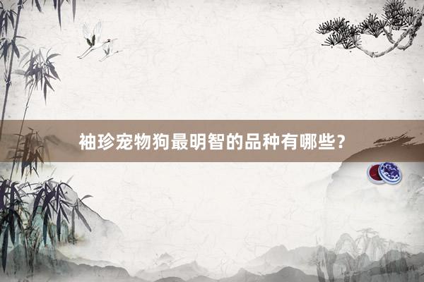 袖珍宠物狗最明智的品种有哪些？